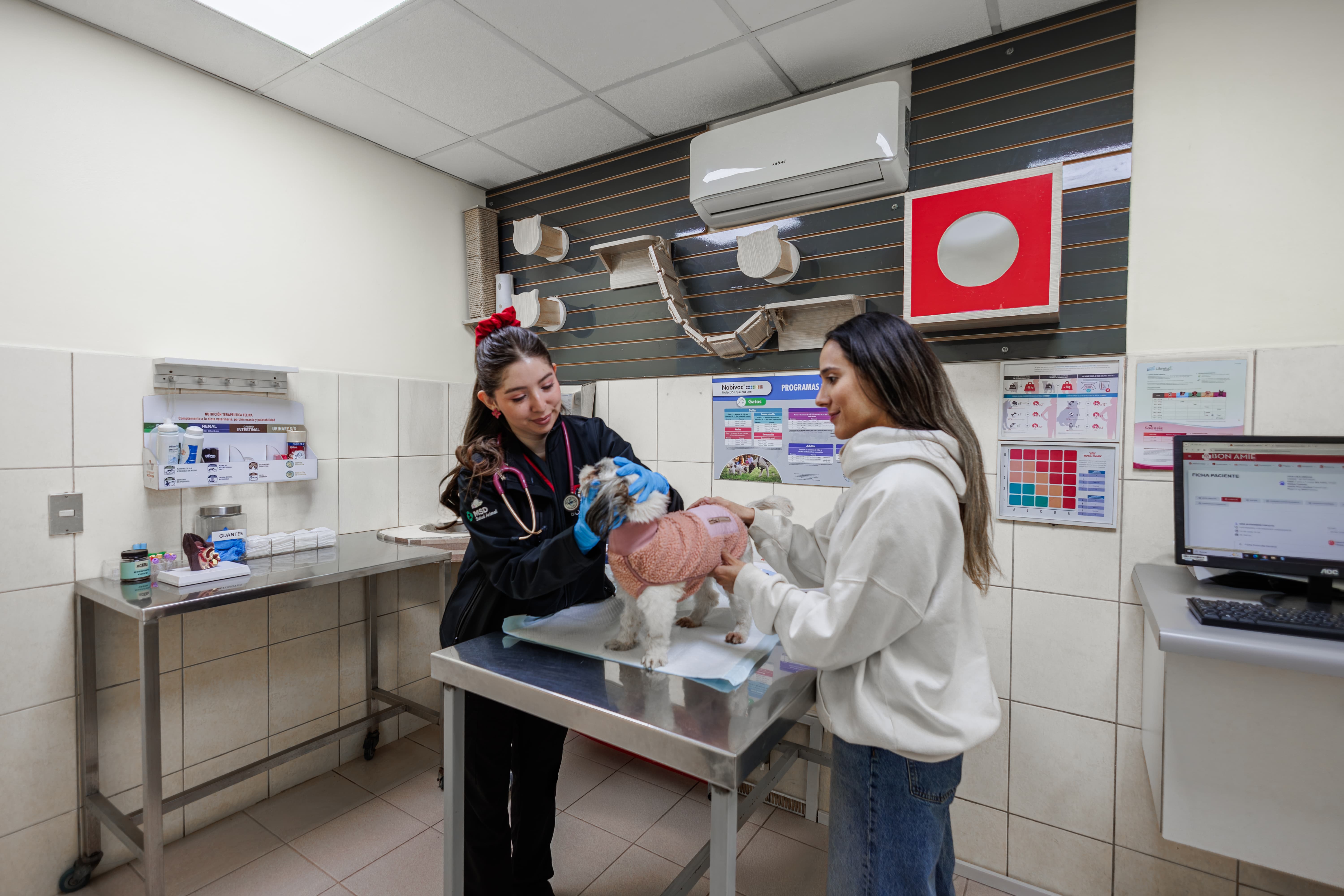 Consulta veterinaria Bon Amie