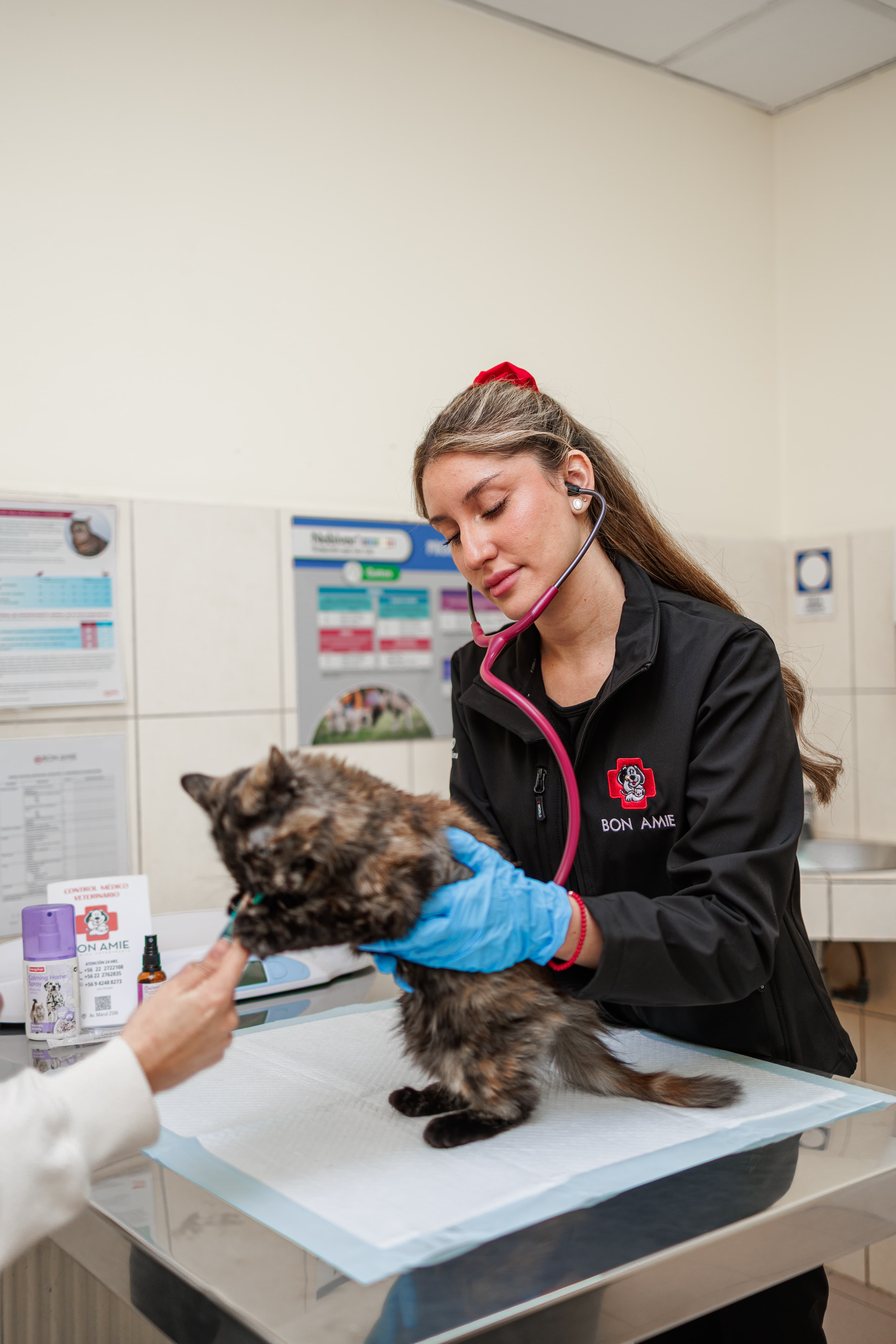 Consulta veterinaria Bon Amie