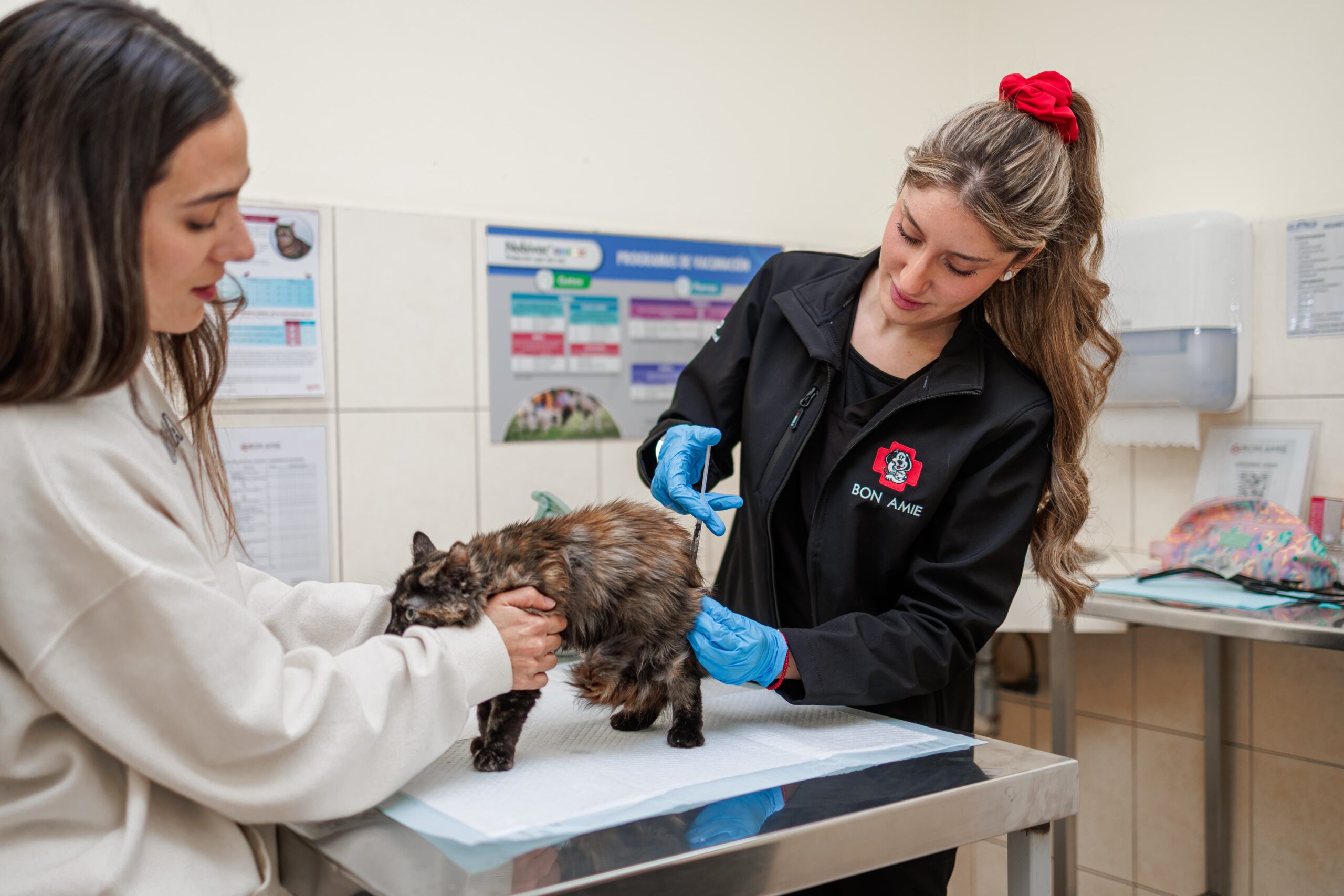 Equipo Clínica Veterinaria Bon Amie