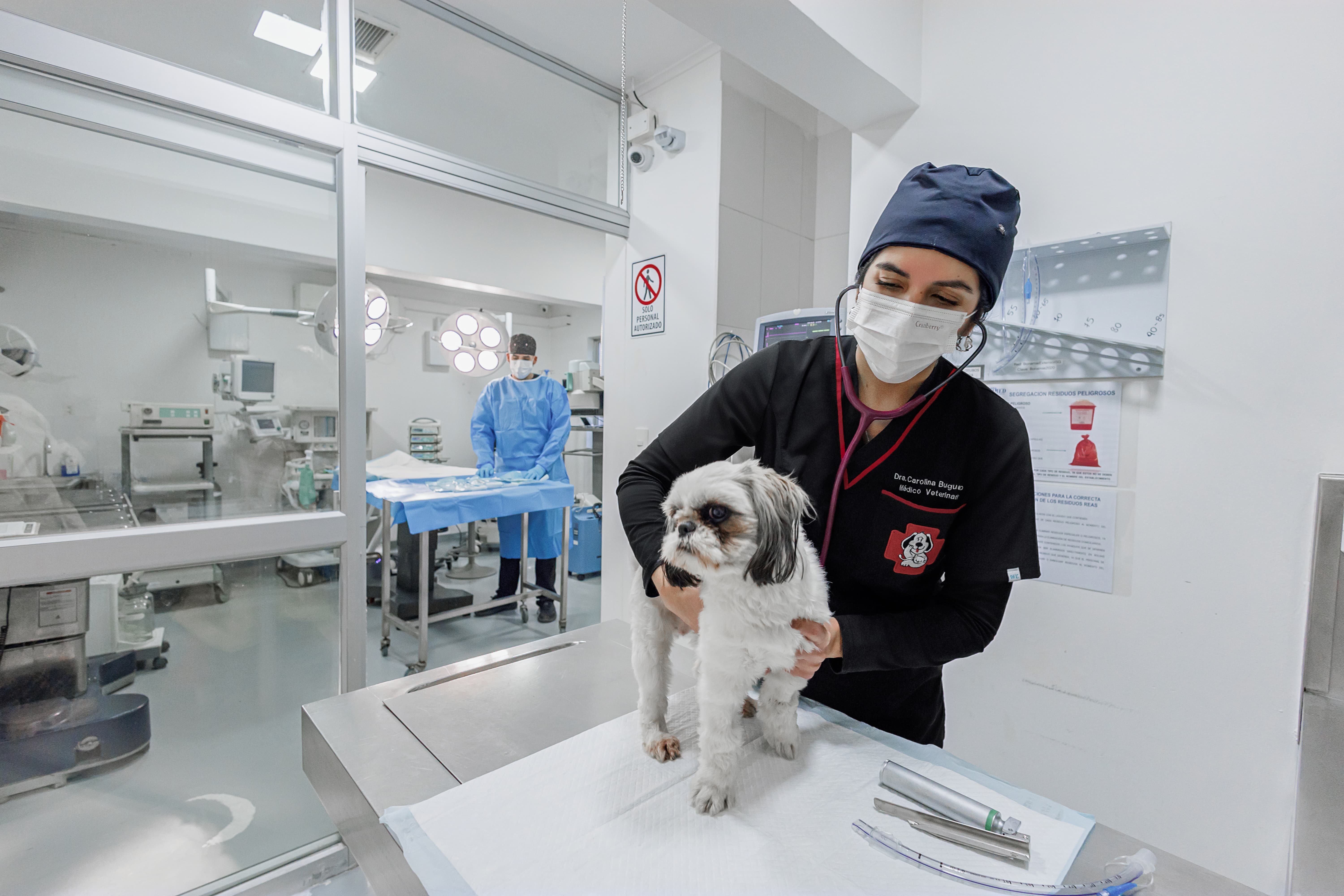 Cirugía Clínica Veterinaria Bon Amie