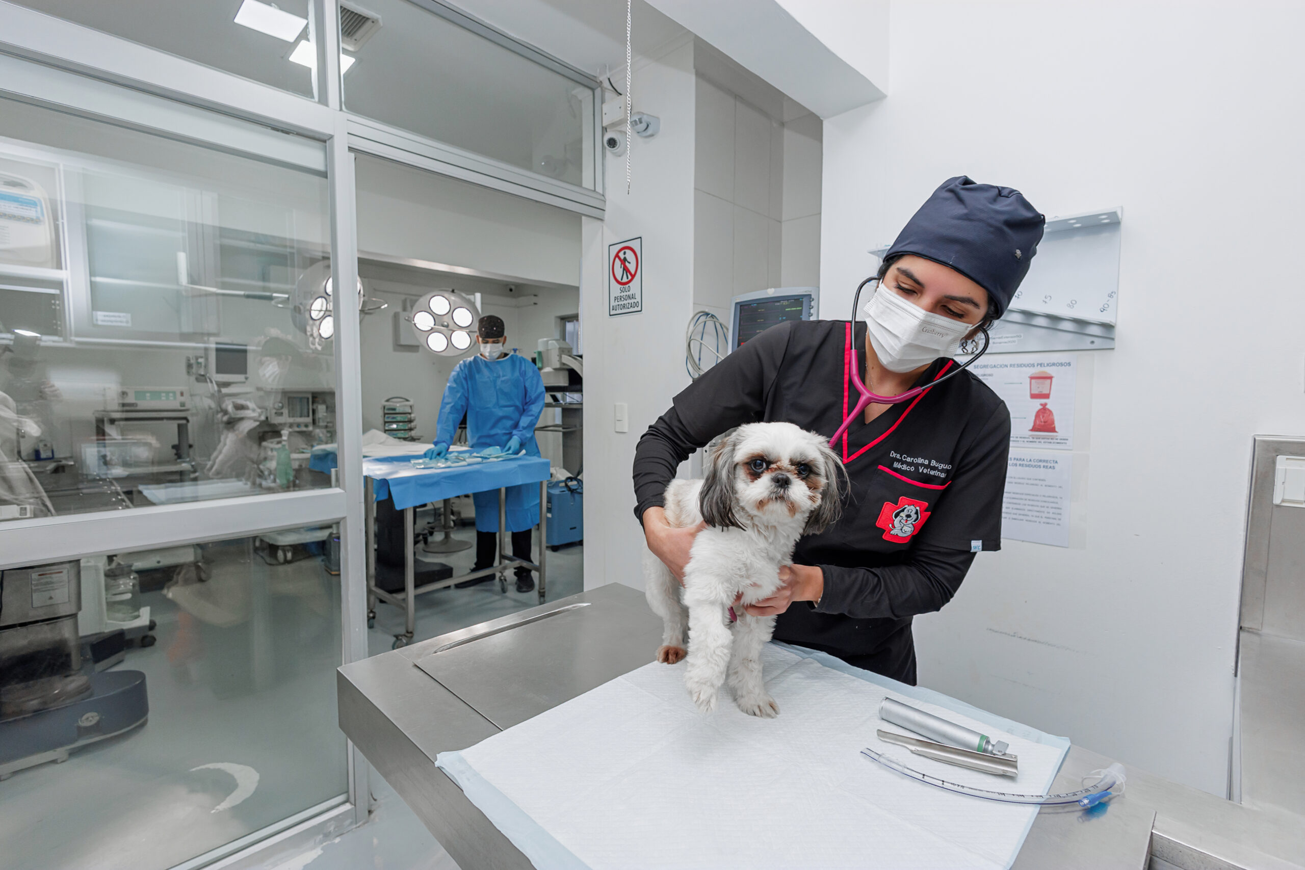 Cirugía Clínica Veterinaria Bon Amie