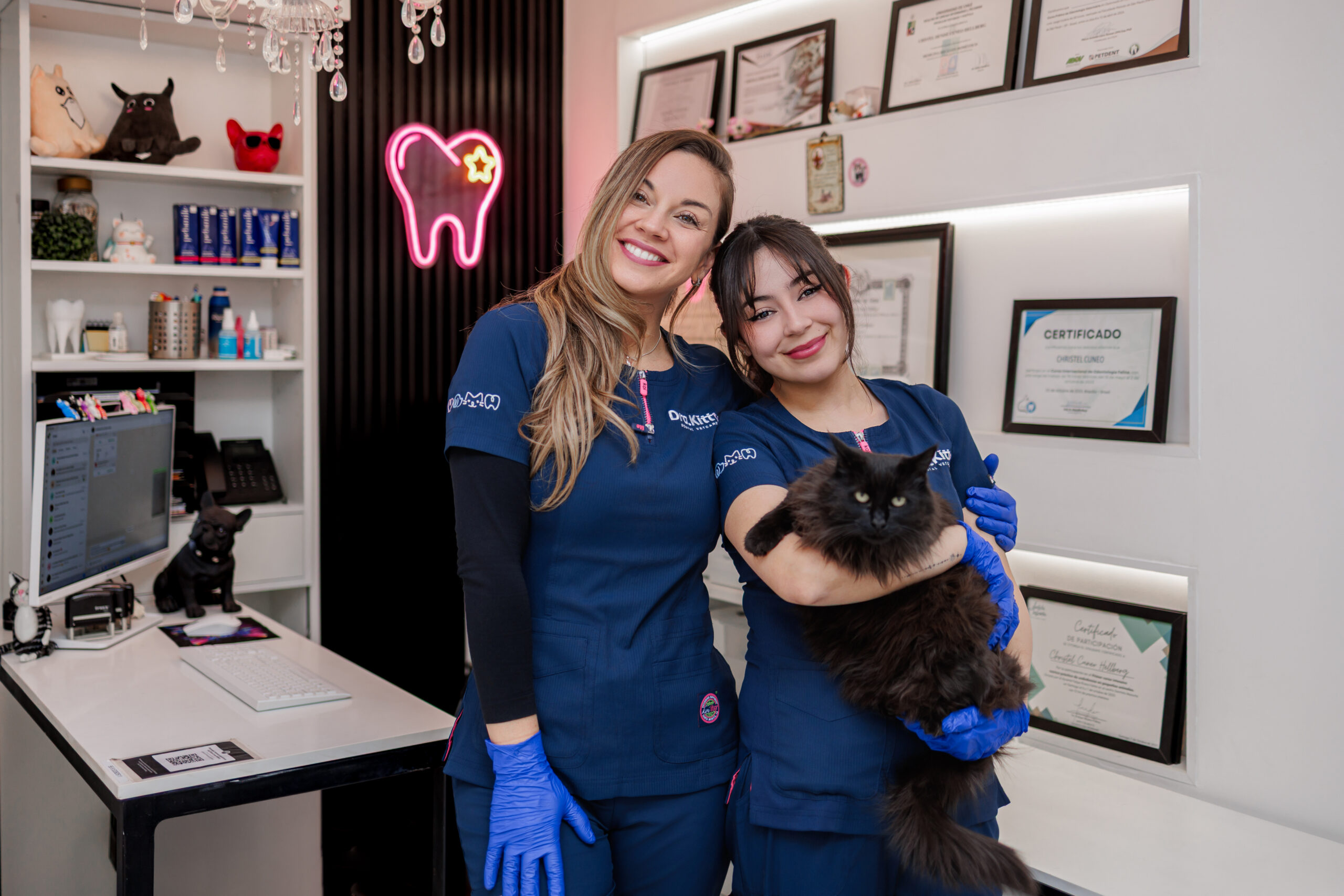 Dra. Kitty — Odontología veterinaria 7