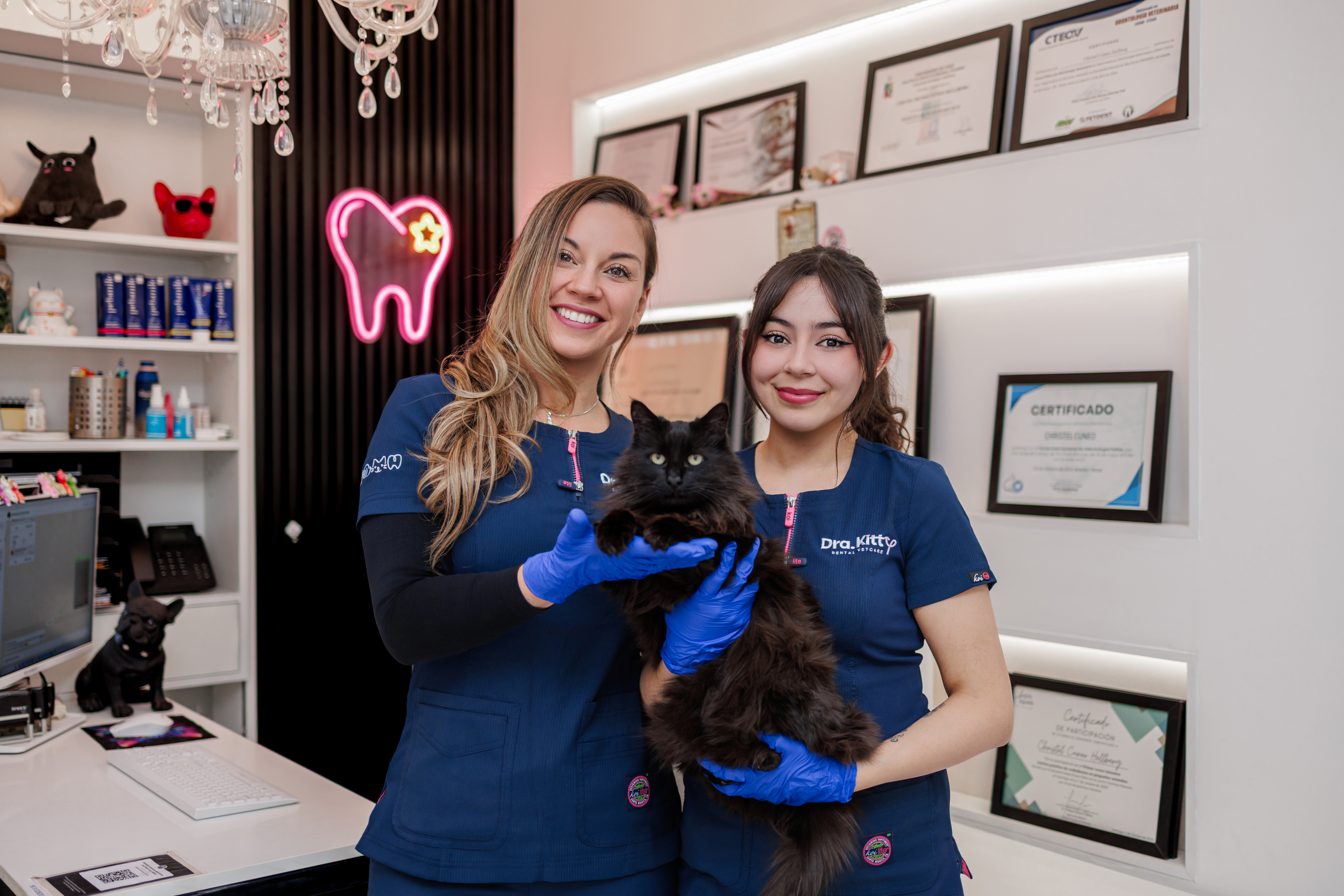 Dra. Kitty — Odontología veterinaria 8