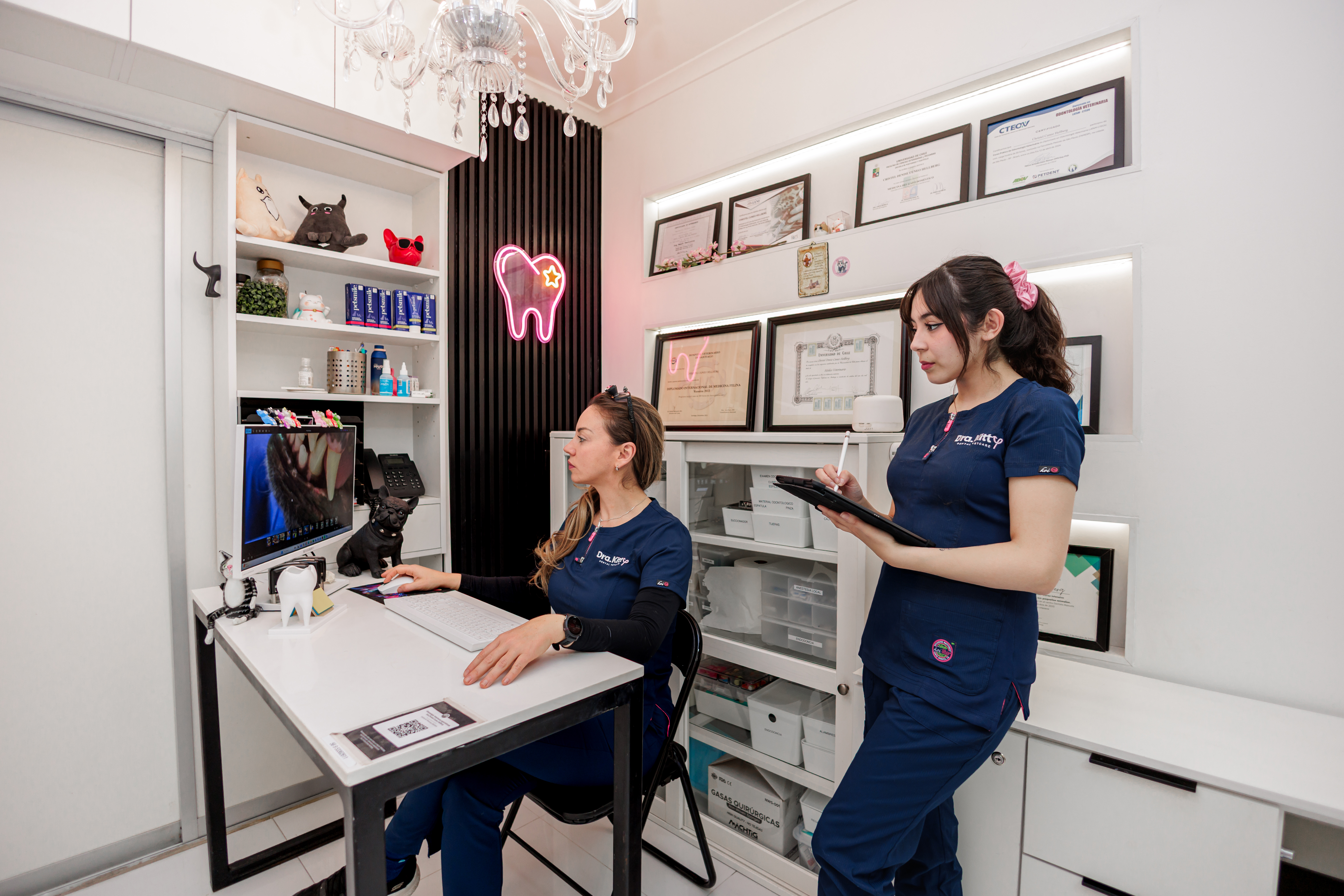 Dra. Kitty — Odontología veterinaria 6