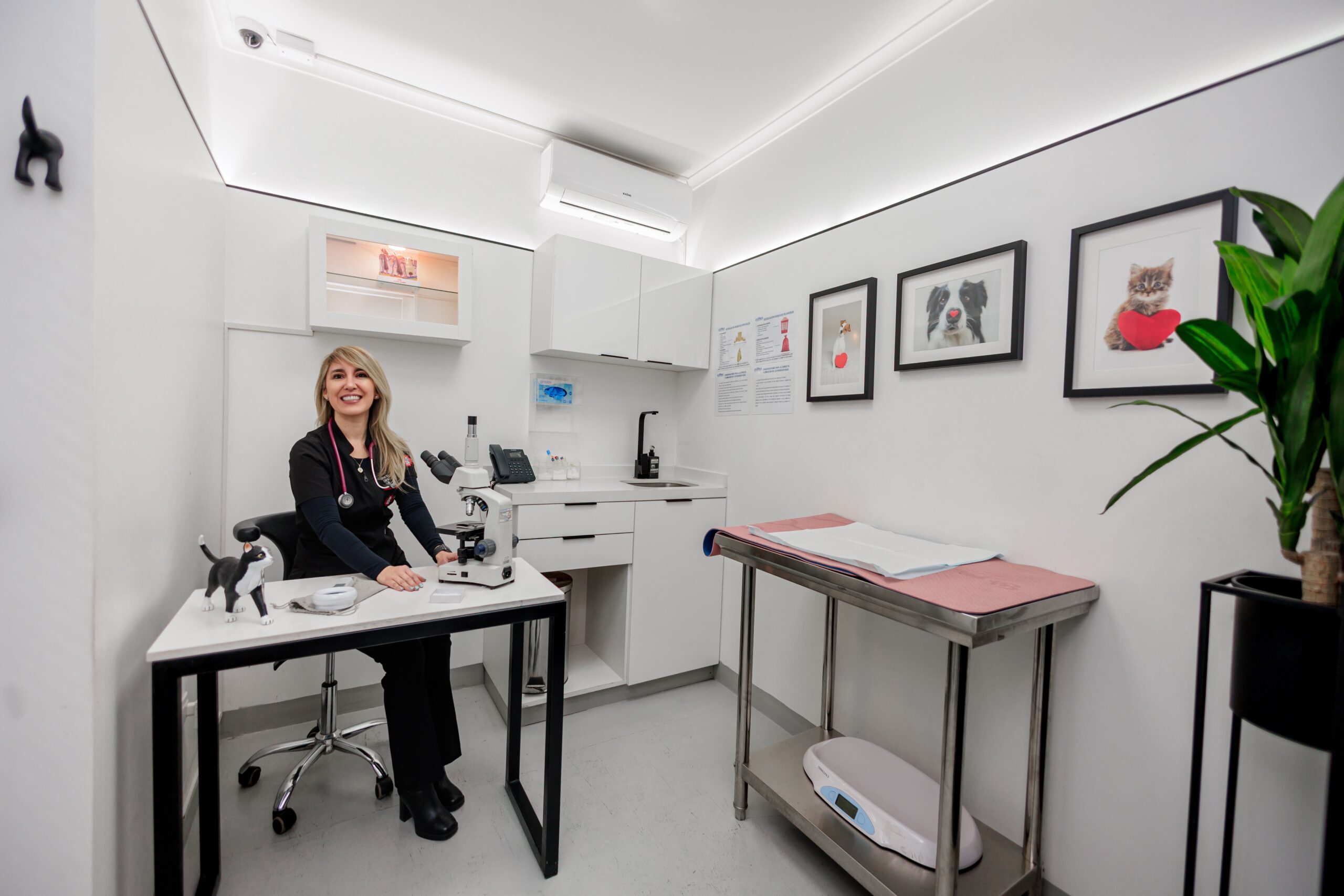 Consulta especialistas Clínica Veterinaria Bon Amie