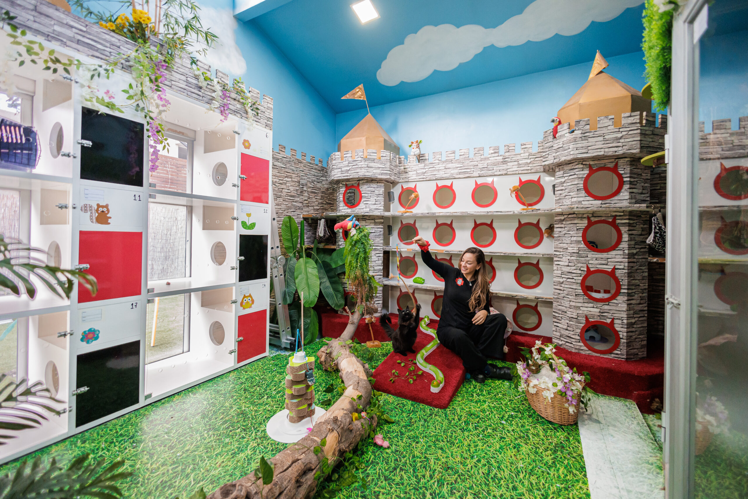 Hotel Felino Cat Kingdom