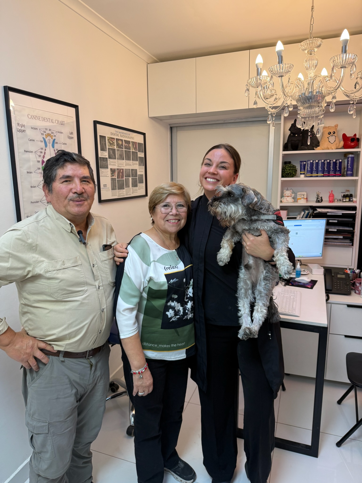 Dra. Kitty — Odontología veterinaria 3